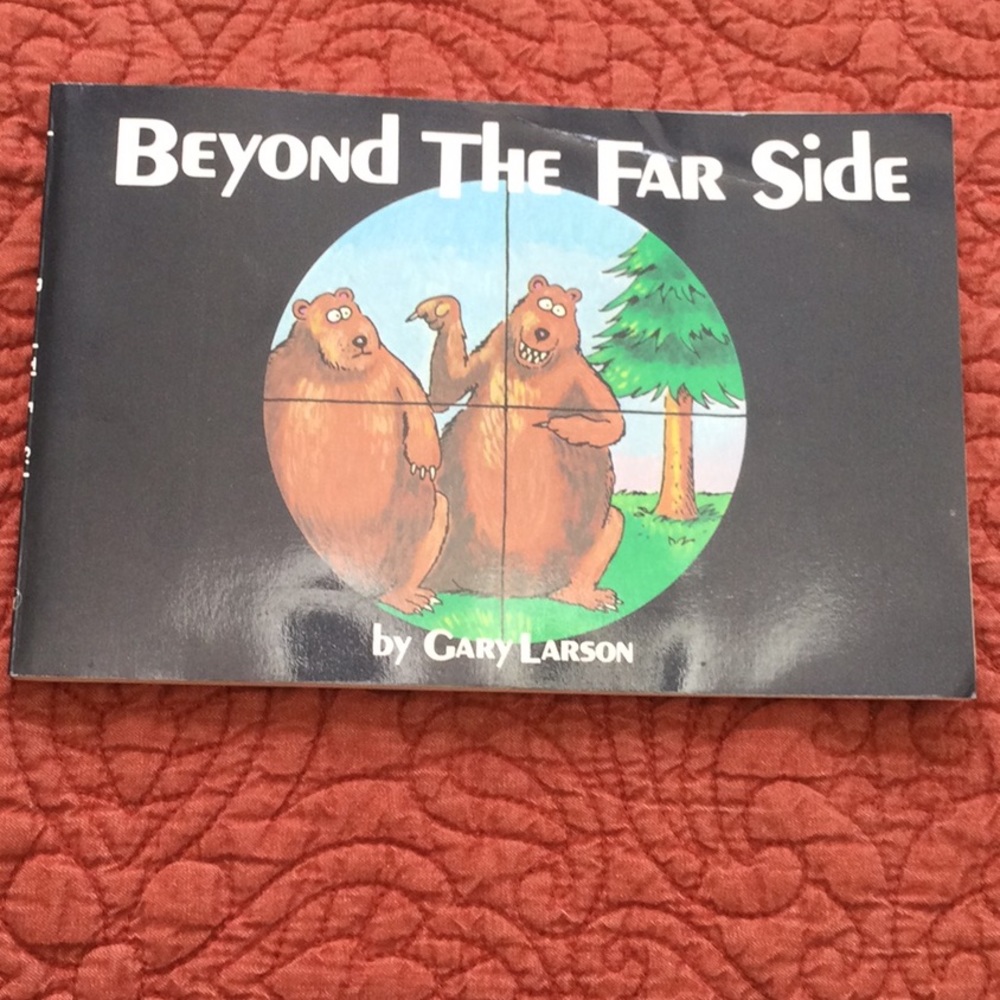 Beyond the far side book